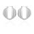 Silver Tone